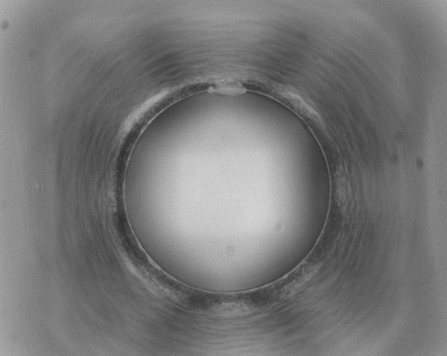 X0000070430536200606302129