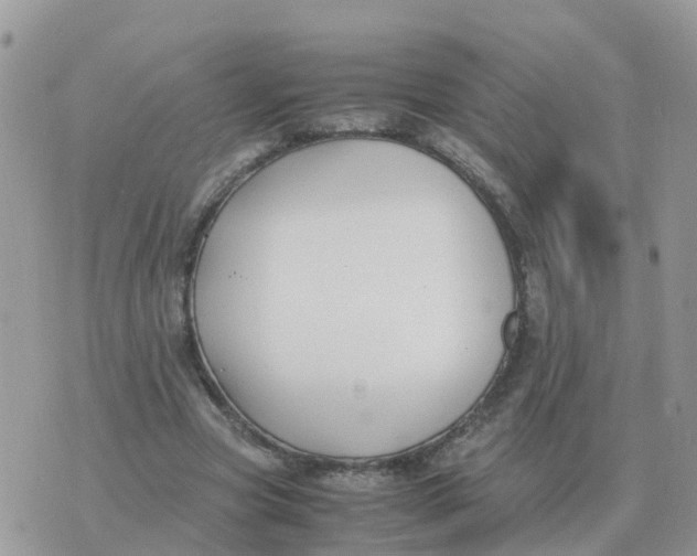 X0000070430537200606302129