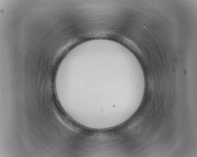 X0000070430538200606302129