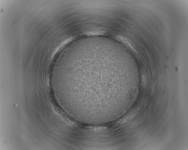 X0000070430539200606302129