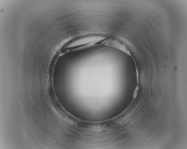 X0000070430540200606302129