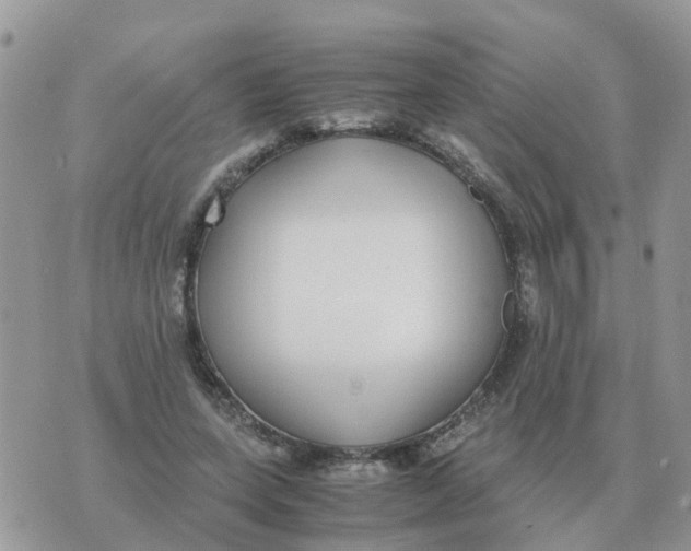 X0000070430543200606302129