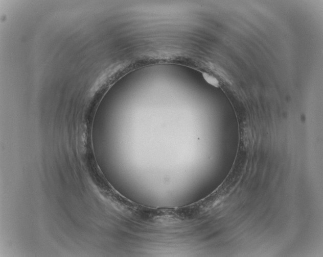 X0000070430544200606302129