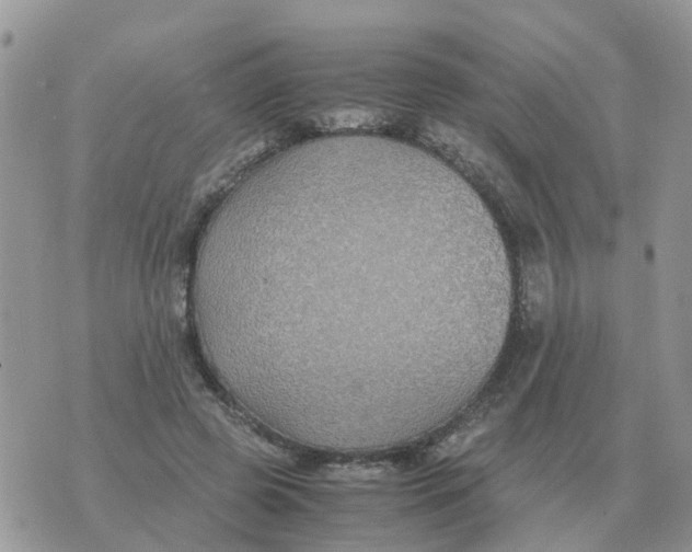 X0000070430545200606302129