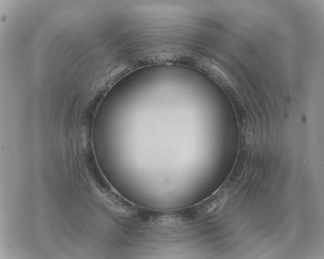 X0000070430546200606302129