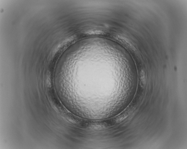 X0000070430547200606302129