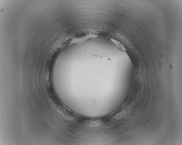 X0000070430548200606302129