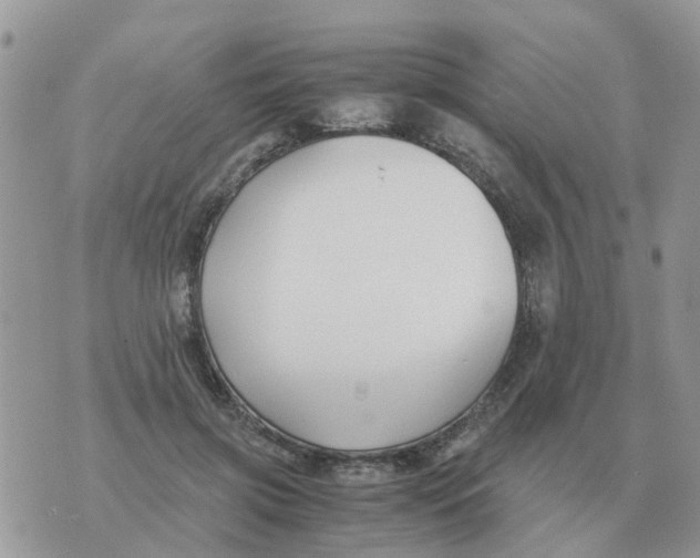 X0000070430549200606302129