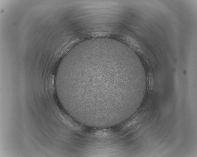 X0000070430550200606302129