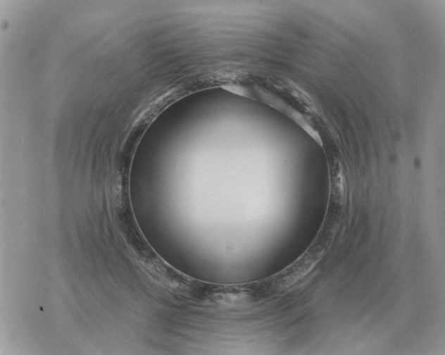 X0000070430552200606302129