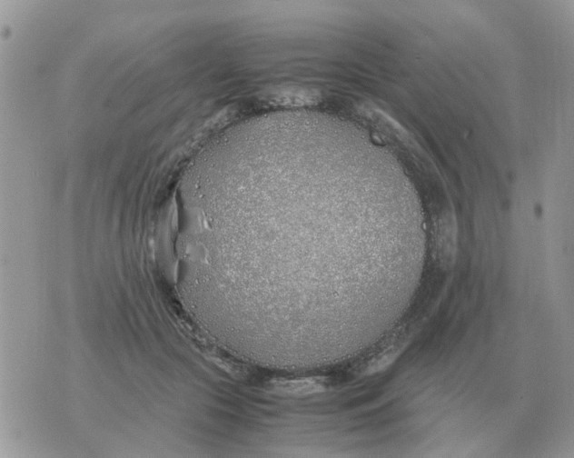 X0000070430553200606302129