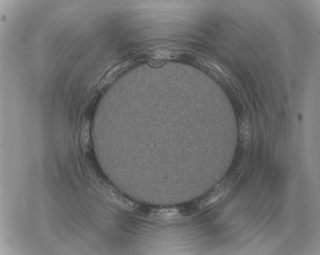 X0000070430554200606302129