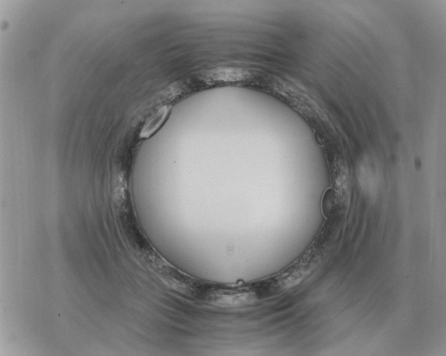 X0000070430555200606302129