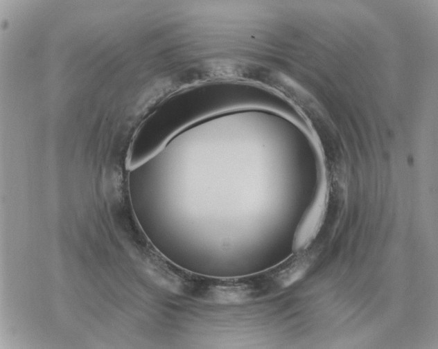 X0000070430556200606302129