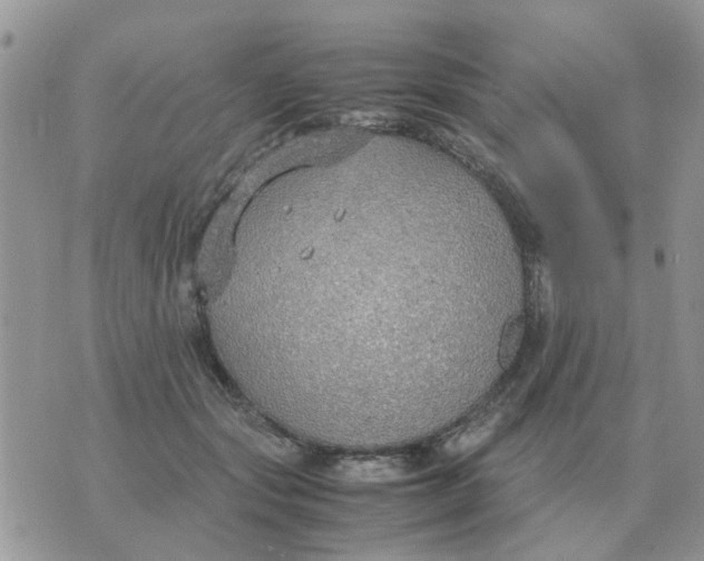 X0000070430557200606302129