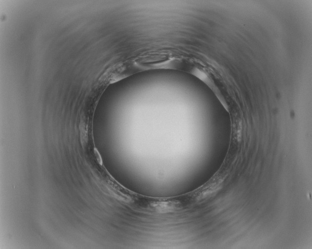 X0000070430558200606302129