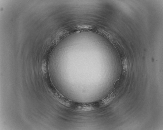 X0000070430559200606302129