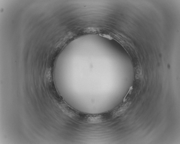 X0000070430560200606302129