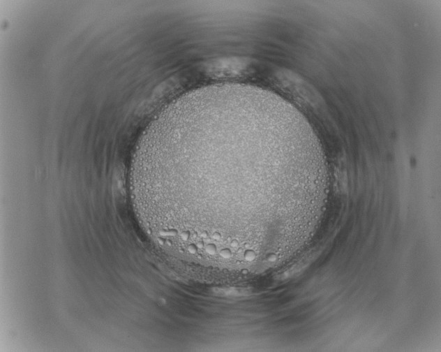 X0000070430561200606302129