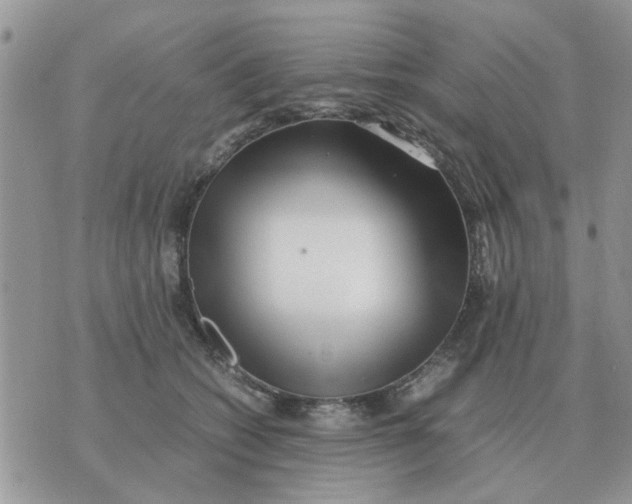 X0000070430562200606302129