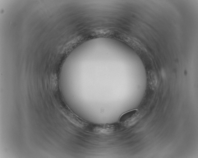 X0000070430563200606302129