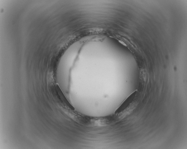 X0000070430564200606302129