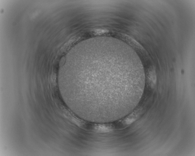 X0000070430565200606302129