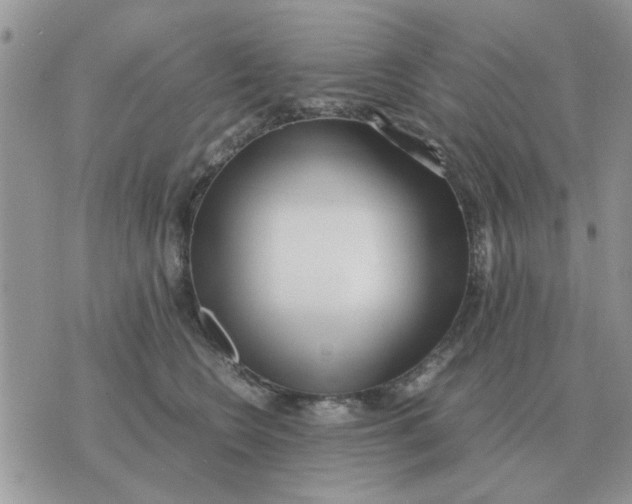 X0000070430566200606302129