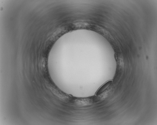 X0000070430567200606302129