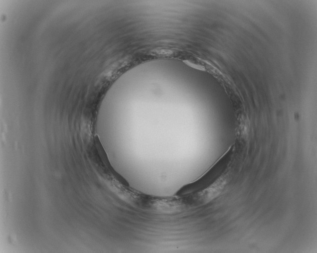 X0000070430568200606302129