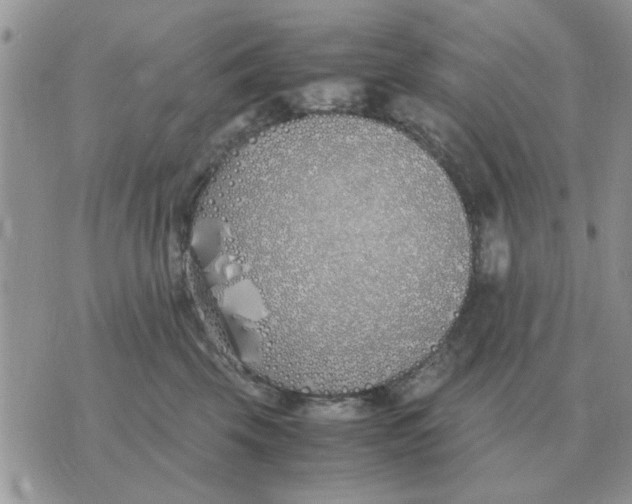 X0000070430569200606302129