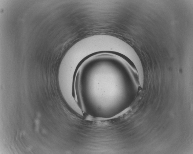 X0000070430570200606302129