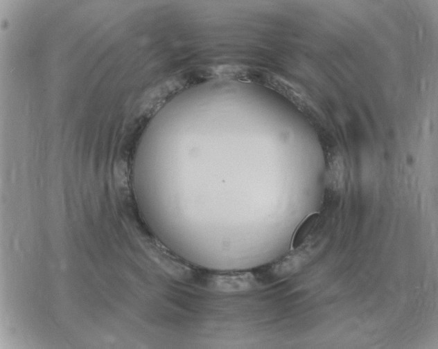 X0000070430571200606302129