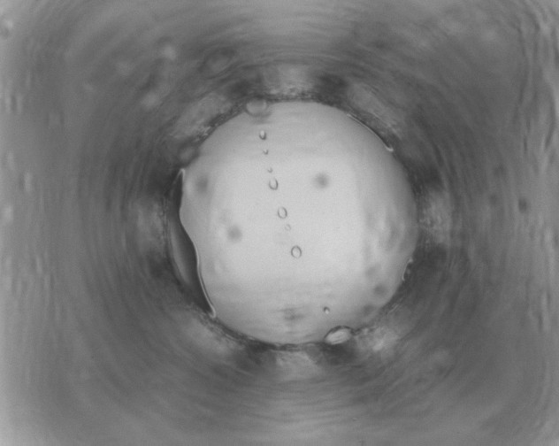 X0000070430572200606302129