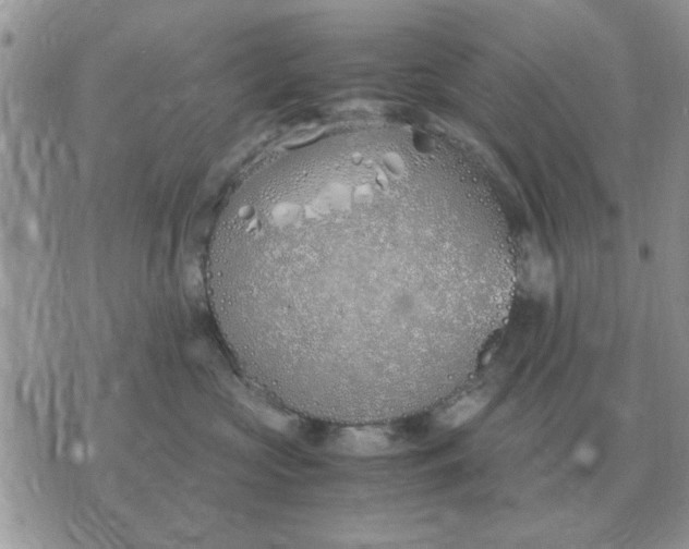 X0000070430573200606302129