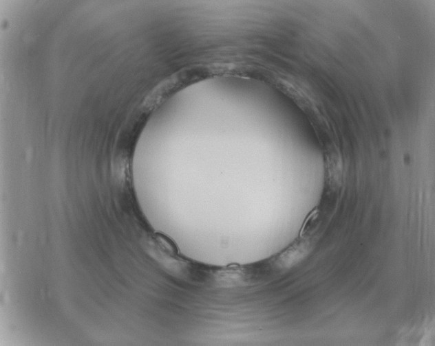 X0000070430574200606302129