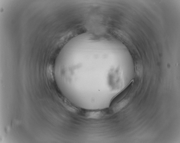 X0000070430575200606302129