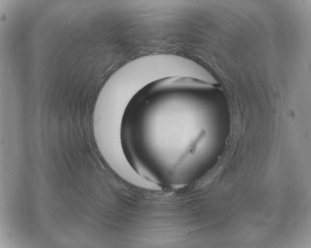 X0000070430576200606302129