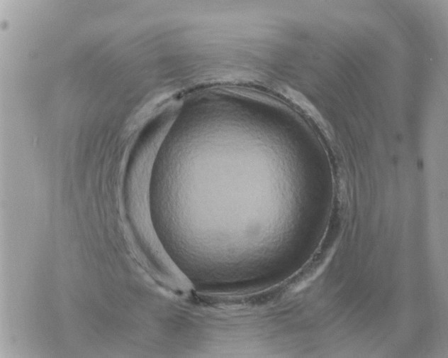 X0000070430577200606302128