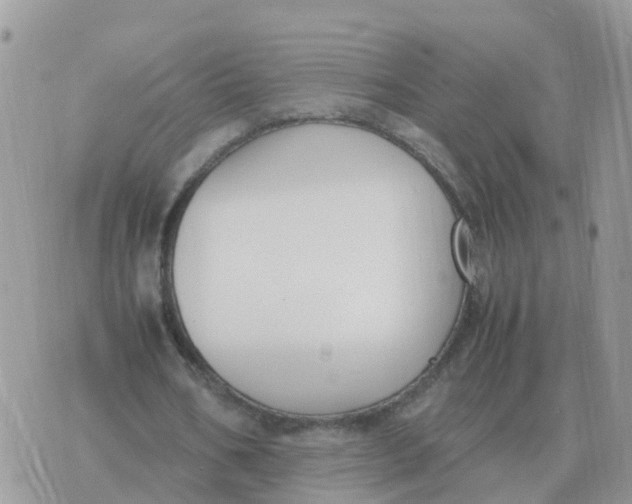 X0000070430578200606302128