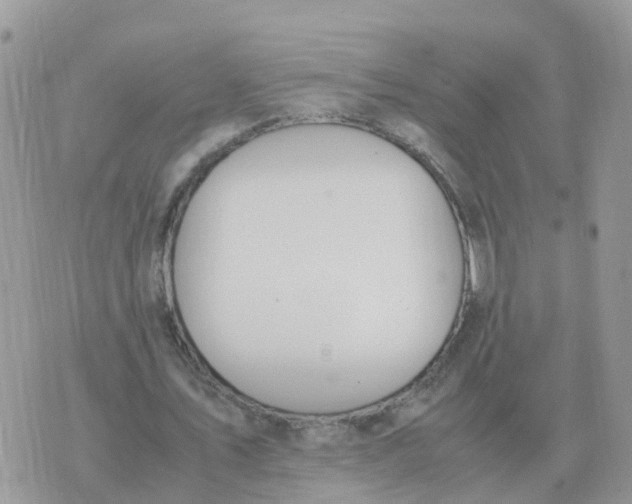 X0000070430579200606302128