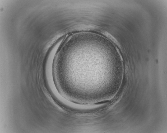 X0000070430581200606302128