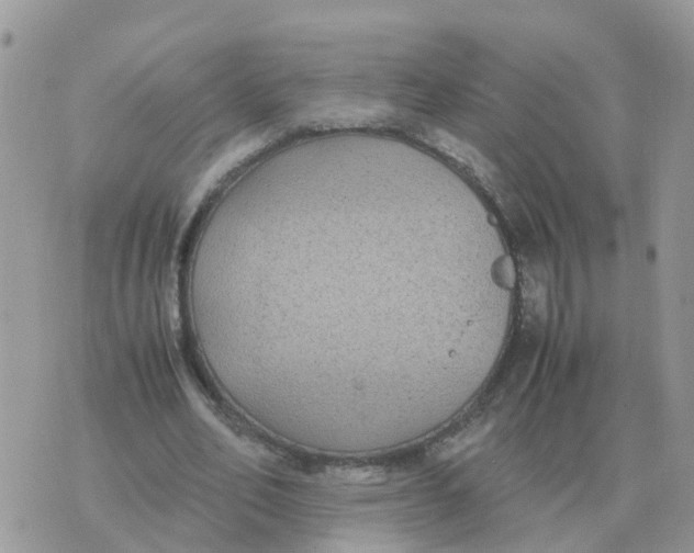 X0000070430582200606302128