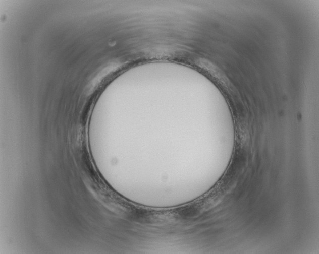 X0000070430583200606302128