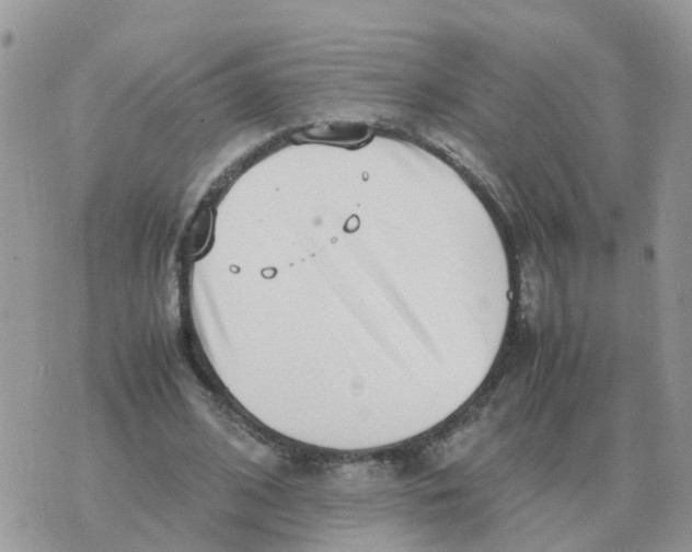 X0000070430584200606302128