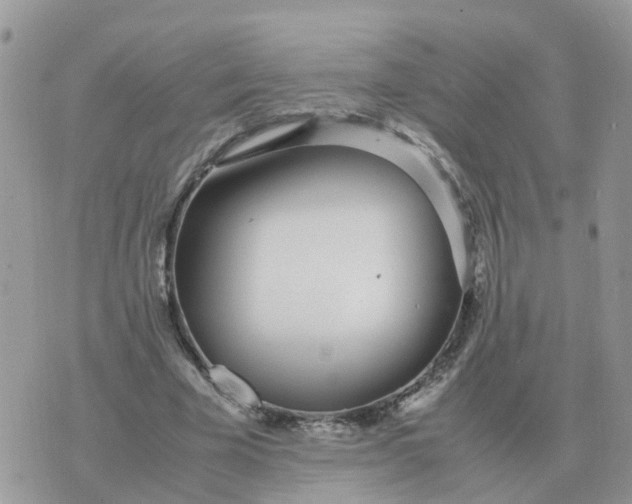 X0000070430585200606302128