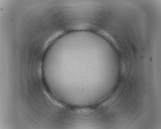 X0000070430586200606302128