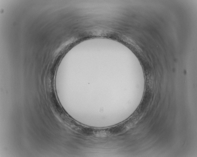 X0000070430587200606302128