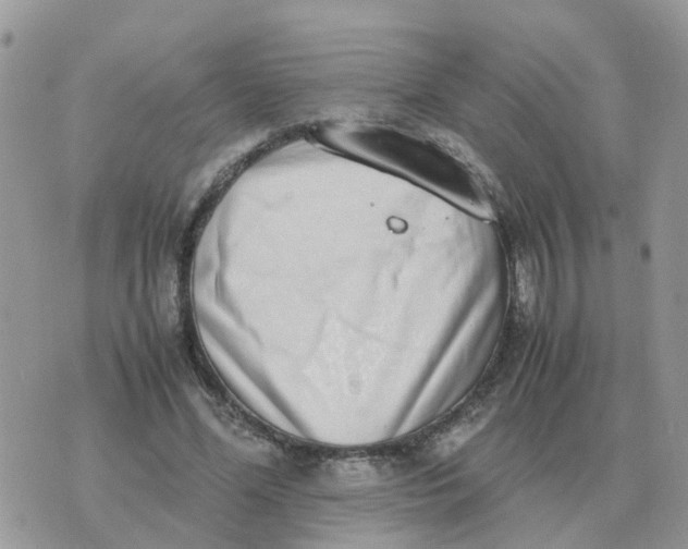 X0000070430588200606302128