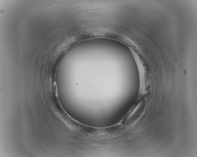 X0000070430589200606302128